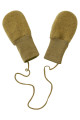 Predhodni