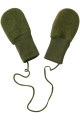 Predhodni