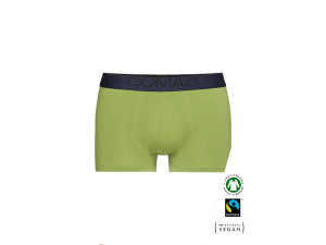 EKO Bombažne Moške Boxer spodnje hlače /elegant - ZELENA